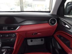 Alfa Romeo Stelvio (949) Фото Alfa Romeo Stelvio (949)
