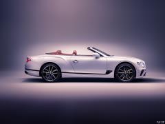 2019 6.0T GT W12 Кабриолет 2019 6.0T GT W12 Convertible Фото 8 из 83