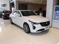 2021 28T люкс 2021 28T luxury Фото 9 из 110