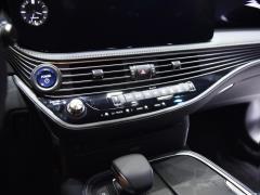 2021 год, 500-часовое издание Executive 2021 model 500h executive version Фото 23 из 201