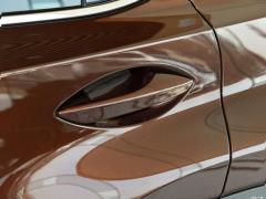 Модель 200 AWD 2020 г., Fengshang Edition, Китай VI 2020 Model 200 AWD, Fengshang Edition, China VI Фото 25 из 43