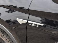 7-местный полноприводный роскошный премиум-выпуск 2020 TSI330 2020 2020 TSI330 7-seater two-wheel drive luxury premium edition Фото 117 из 197