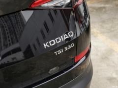 2021 TSI330 7-местный полноприводный роскошный премиум-выпуск 2021 TSI330 7-seater two-wheel drive luxury premium edition Фото 76 из 197