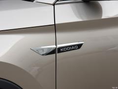 2021 TSI330 5-местный полноприводный роскошный премиум-выпуск 2021 TSI330 5-seater two-wheel drive luxury premium edition Фото 37 из 110