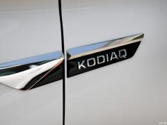 Обновленная 7-местная полноприводная флагманская версия TSI380 2019 года, Китай VI 2019 facelifted TSI380 7-seater four-wheel drive flagship version, China VI Фото 165 из 192