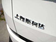 Обновленная 7-местная полноприводная флагманская версия TSI380 2019 года, Китай VI 2019 facelifted TSI380 7-seater four-wheel drive flagship version, China VI Фото 178 из 192