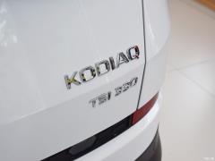 5-местная полноприводная комфортная версия TSI330 2020 года 2020 TSI330 5-seater 2-WD Comfort Edition Фото 125 из 192