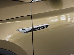 7-местный полноприводный роскошный премиум-выпуск 2020 TSI330 2020 2020 TSI330 7-seater two-wheel drive luxury premium edition Фото 22 из 41