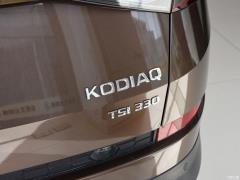 2021 TSI330 7-местный полноприводный роскошный премиум-выпуск 2021 TSI330 7-seater two-wheel drive luxury premium edition Фото 44 из 108