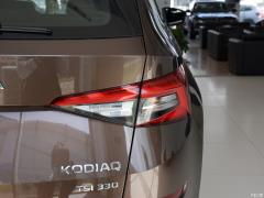 2021 TSI330 7-местный полноприводный роскошный премиум-выпуск 2021 TSI330 7-seater two-wheel drive luxury premium edition Фото 45 из 108