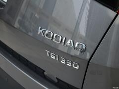 2021 TSI330 7-местный полноприводный роскошный премиум-выпуск 2021 TSI330 7-seater two-wheel drive luxury premium edition Фото 56 из 116