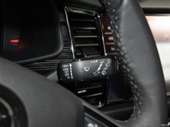 2021 TSI330 7-местный полноприводный роскошный премиум-выпуск 2021 TSI330 7-seater two-wheel drive luxury premium edition Фото 90 из 825