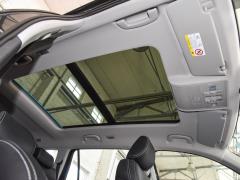 7-местный полноприводный роскошный премиум-выпуск 2020 TSI330 2020 2020 TSI330 7-seater two-wheel drive luxury premium edition Фото 635 из 825