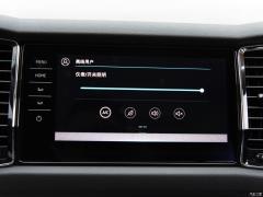 2021 TSI330 5-местный полноприводный роскошный премиум-выпуск 2021 TSI330 5-seater two-wheel drive luxury premium edition Фото 46 из 825