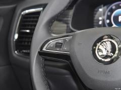 7-местный полноприводный роскошный премиум-выпуск 2020 TSI330 2020 2020 TSI330 7-seater two-wheel drive luxury premium edition Фото 205 из 825