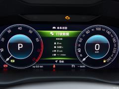 2021 TSI330 5-местный полноприводный роскошный премиум-выпуск 2021 TSI330 5-seater two-wheel drive luxury premium edition Фото 19 из 825