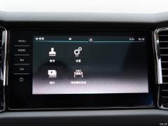 2021 TSI330 5-местный полноприводный роскошный премиум-выпуск 2021 TSI330 5-seater two-wheel drive luxury premium edition Фото 31 из 825