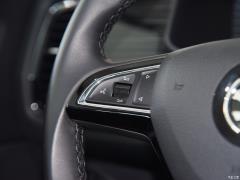 5-местный полноприводный роскошный премиум-выпуск 2020 TSI330 2020 2020 TSI330 5-seater two-wheel drive luxury premium edition Фото 304 из 825