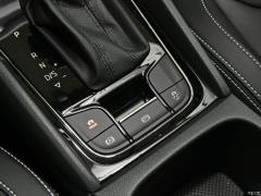 2021 TSI330 7-местный полноприводный роскошный премиум-выпуск 2021 TSI330 7-seater two-wheel drive luxury premium edition Фото 116 из 825