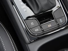 2021 TSI330 5-местный полноприводный роскошный премиум-выпуск 2021 TSI330 5-seater two-wheel drive luxury premium edition Фото 56 из 825