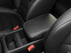 2021 TSI330 7-местный полноприводный роскошный премиум-выпуск 2021 TSI330 7-seater two-wheel drive luxury premium edition Фото 472 из 825