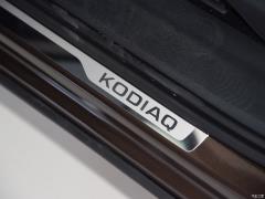 5-местный полноприводный роскошный премиум-выпуск 2020 TSI330 2020 2020 TSI330 5-seater two-wheel drive luxury premium edition Фото 694 из 825