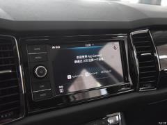 7-местный полноприводный роскошный премиум-выпуск 2020 TSI330 2020 2020 TSI330 7-seater two-wheel drive luxury premium edition Фото 233 из 825