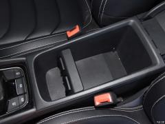 5-местный полноприводный роскошный премиум-выпуск 2020 TSI330 2020 2020 TSI330 5-seater two-wheel drive luxury premium edition Фото 701 из 825