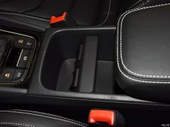 Обновленный 7-местный полноприводный автомобиль TSI380 премиум-класса с фейслифтингом 2019 года Китай VI 2019 facelifted TSI380 7-seater four-wheel drive luxury premium edition China VI Фото 364 из 825