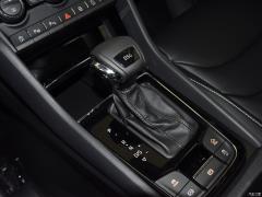 Обновленный 7-местный полноприводный автомобиль TSI380 премиум-класса с фейслифтингом 2019 года Китай VI 2019 facelifted TSI380 7-seater four-wheel drive luxury premium edition China VI Фото 362 из 825