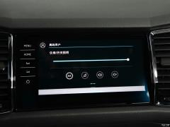 2021 TSI330 7-местный полноприводный роскошный премиум-выпуск 2021 TSI330 7-seater two-wheel drive luxury premium edition Фото 107 из 825