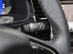 7-местный полноприводный роскошный премиум-выпуск 2020 TSI330 2020 2020 TSI330 7-seater two-wheel drive luxury premium edition Фото 209 из 825